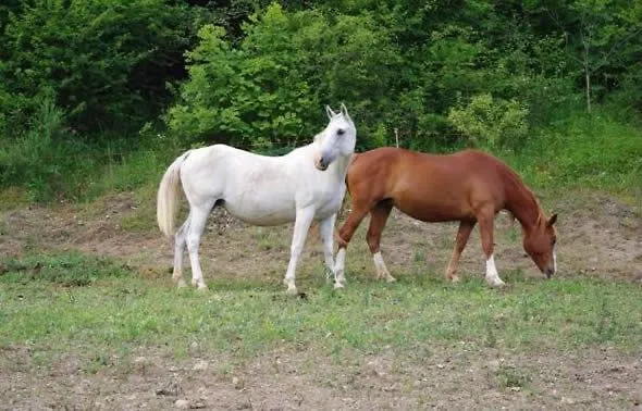 Gospodarstwo agroturystyczne Valle Tezze